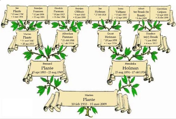 Genealogie